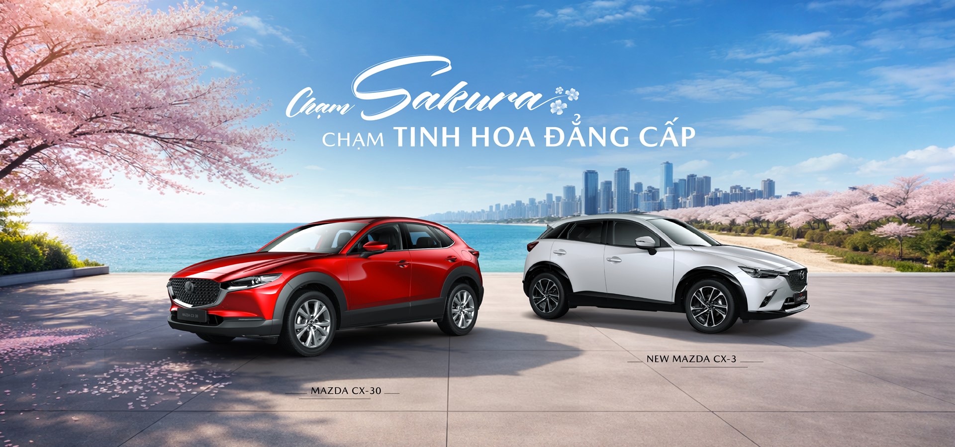 BANNER CX3 & CX30