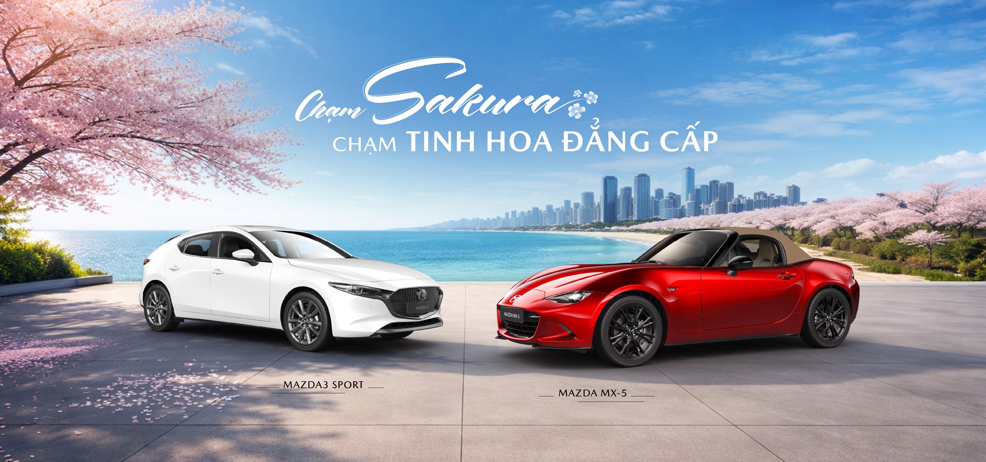 BANNER WEB M3 & MX5